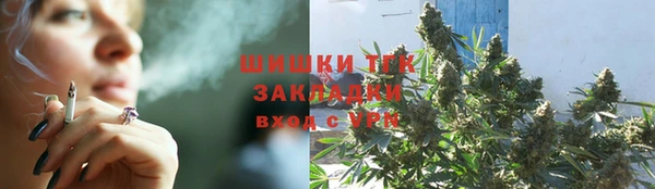 дурь Арсеньев