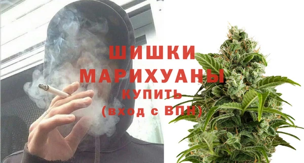 дурь Арсеньев